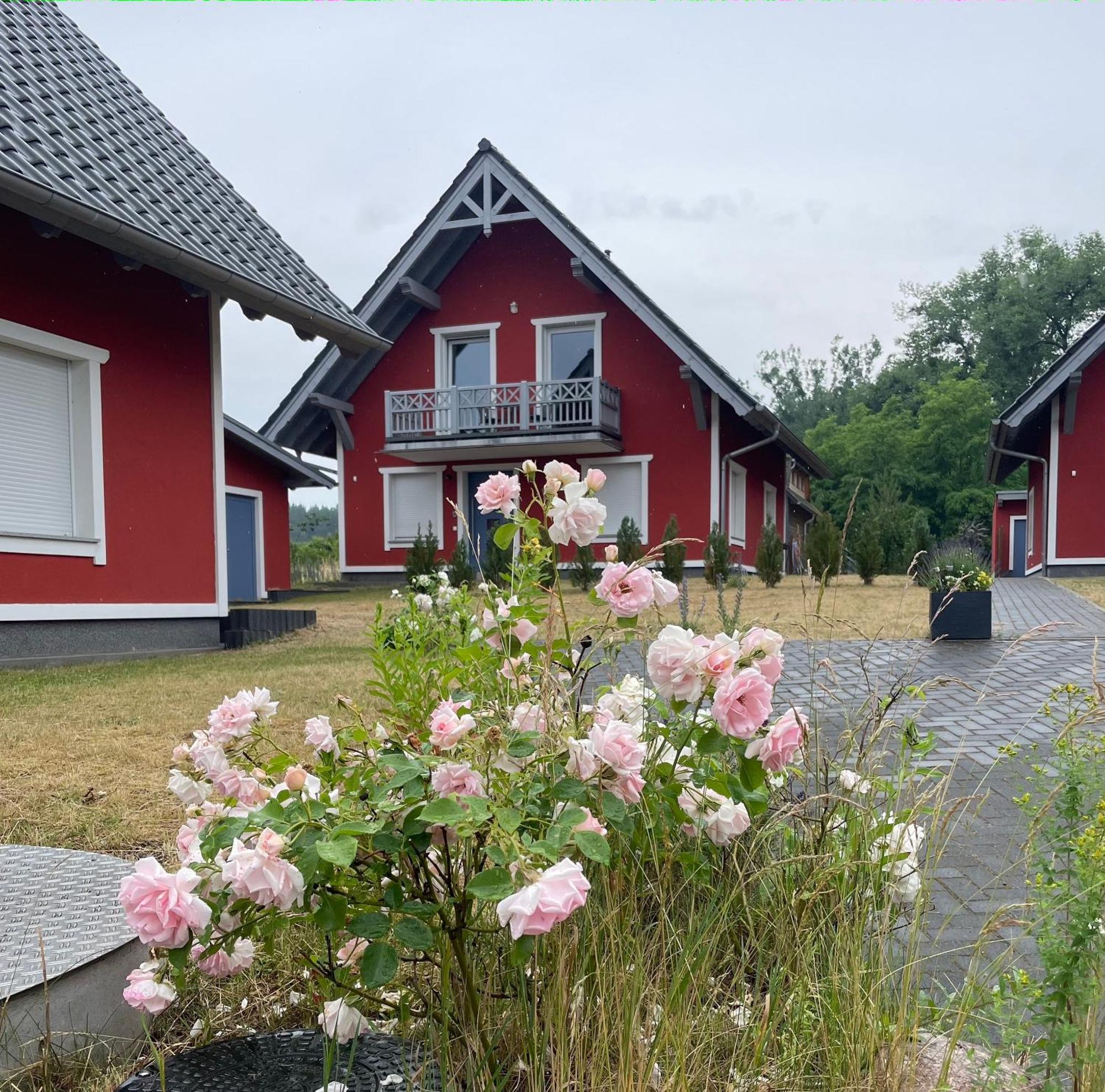 Urlaub Am Plaetlinsee - Haus Odin Wustrow  ภายนอก รูปภาพ